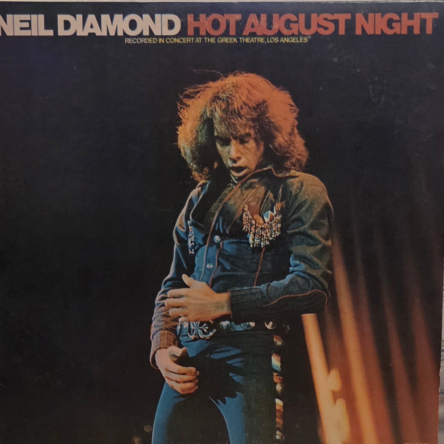 Neil Diamond - Hot August Night