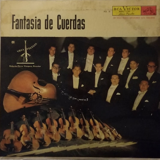 Roberto Pérez Vásquez, Director - Fantasia de Cuerdas en Villa Fontana